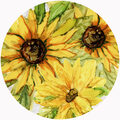Image Not Available